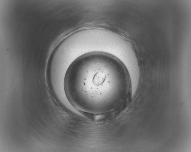 X0000068890340200605192140