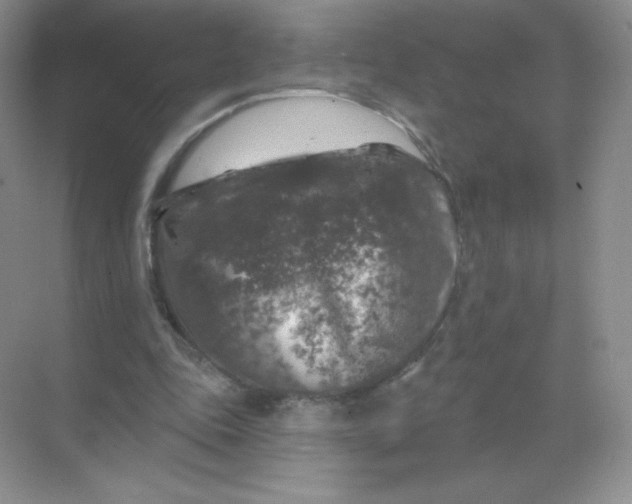 X0000068890343200605192141