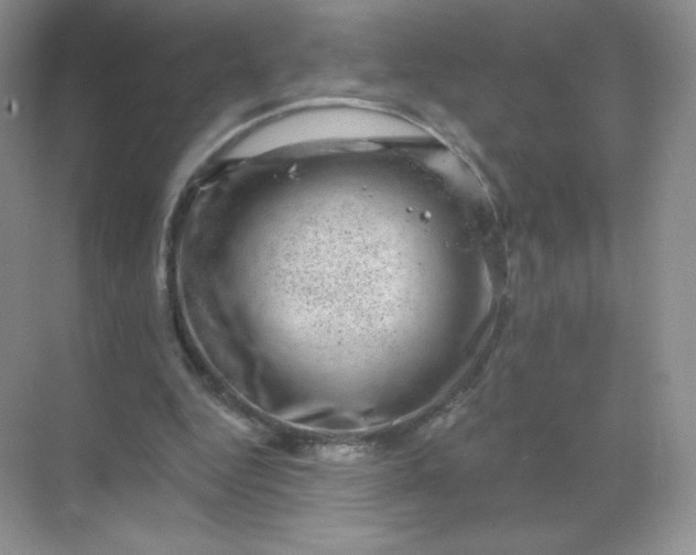 X0000068890344200605192141