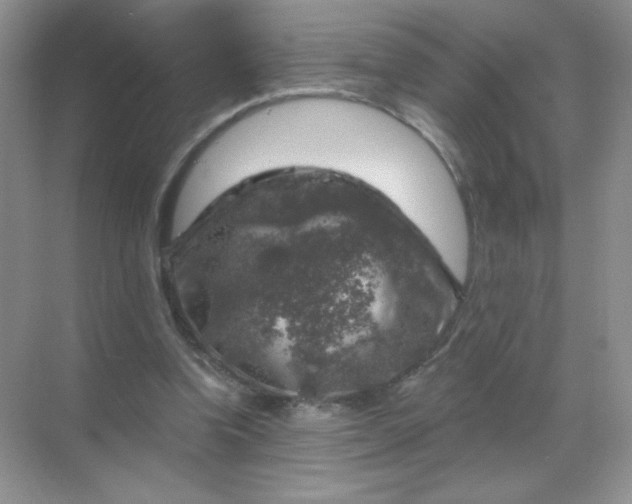 X0000068890346200605192141