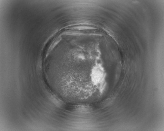 X0000068890347200605192141