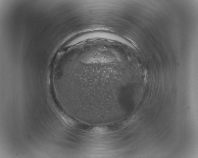 X0000068890350200605192141