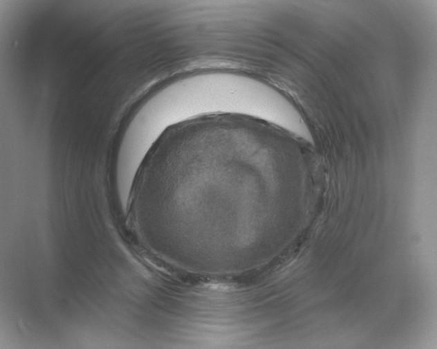 X0000068890352200605192141