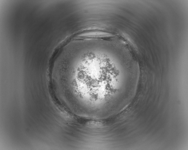 X0000068890354200605192141