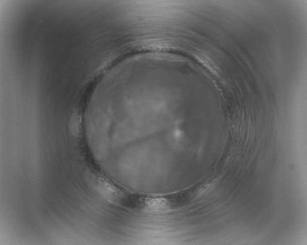 X0000068890355200605192141