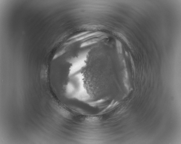 X0000068890357200605192141