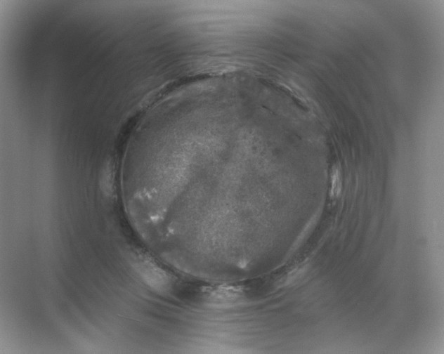 X0000068890359200605192141