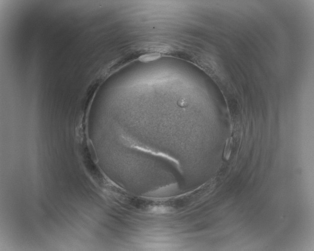 X0000068890360200605192141