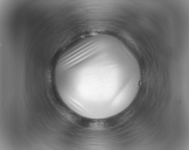 X0000068890362200605192141