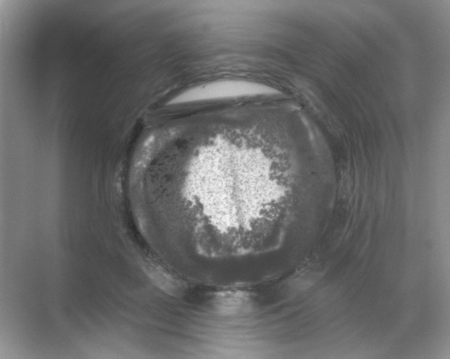 X0000068890363200605192141