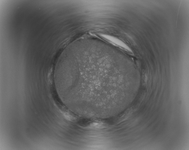 X0000068890364200605192141