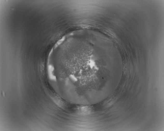 X0000068890365200605192141