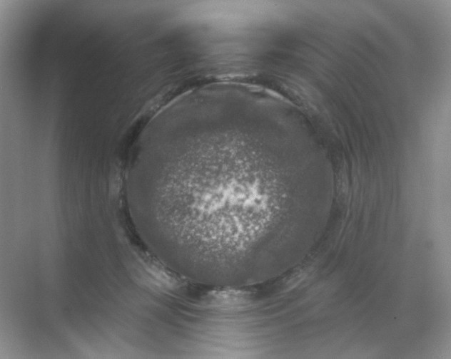 X0000068890367200605192141