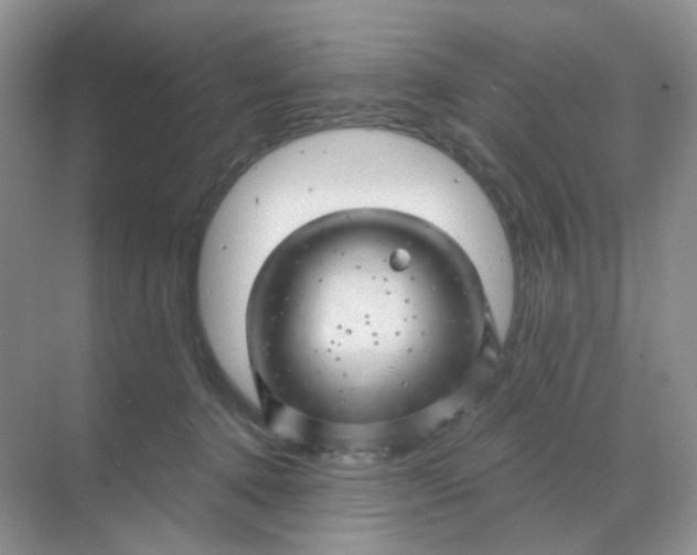 X0000068890368200605192141