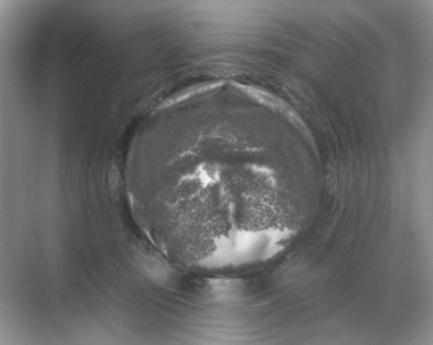 X0000068890371200605192141