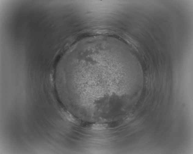 X0000068890373200605192141