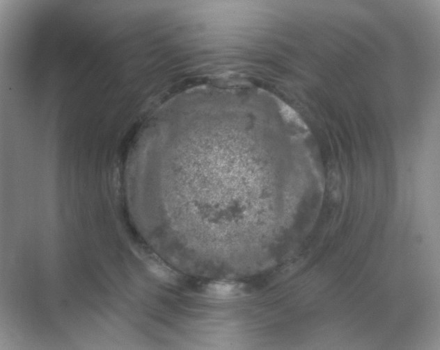 X0000068890375200605192141