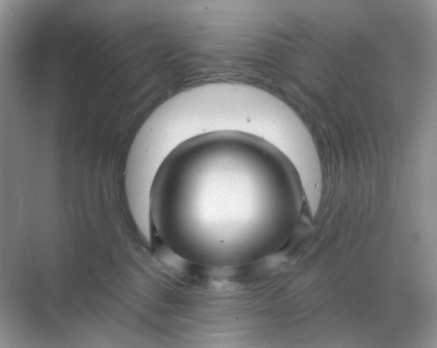 X0000068890376200605192141