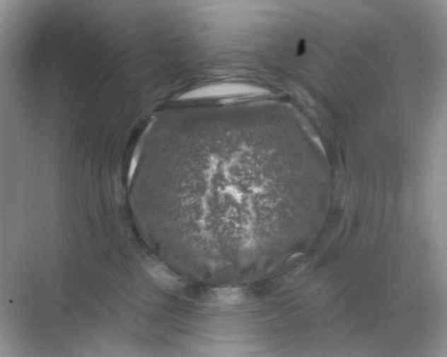 X0000068890377200605192141