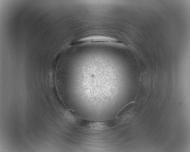 X0000068890378200605192141