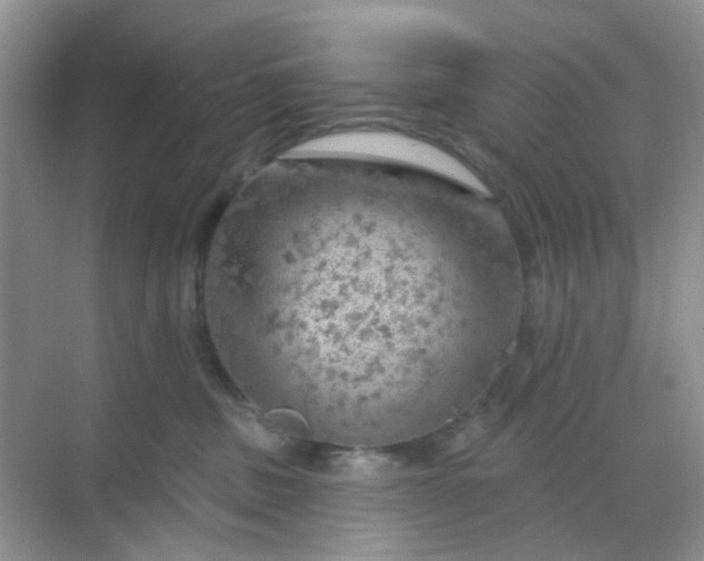 X0000068890379200605192141