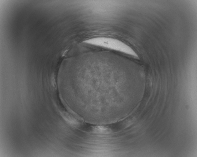 X0000068890380200605192141