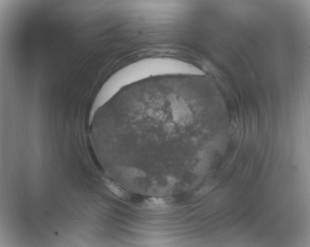 X0000068890381200605192141