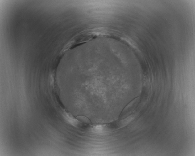 X0000068890382200605192141