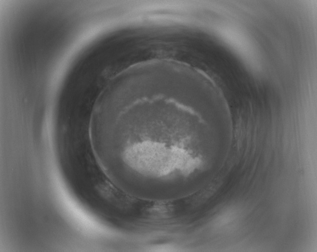 X0000068890383200605192141