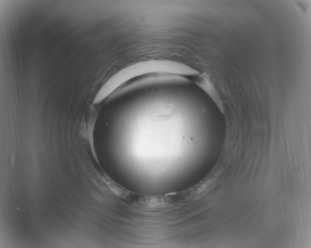 X0000068890384200605192141