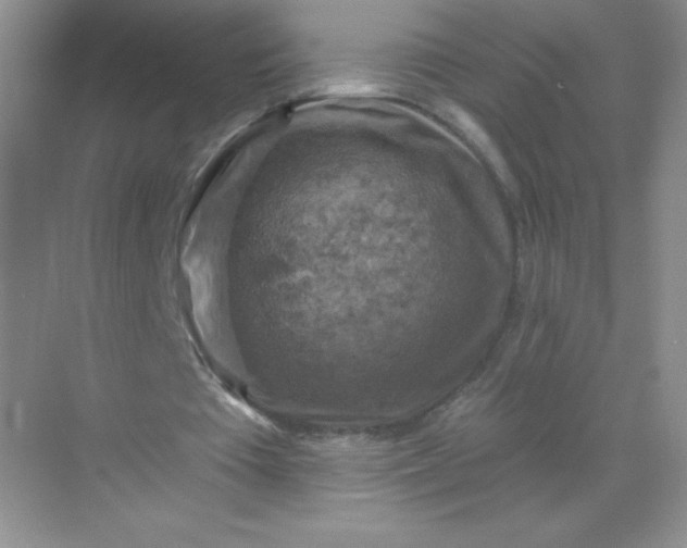 X0000068890385200605192140