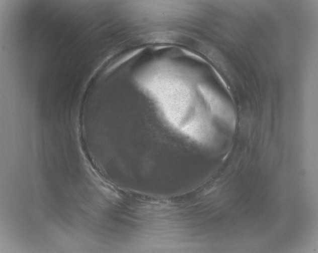 X0000068890386200605192140