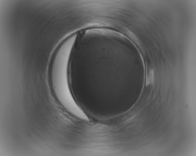 X0000068890387200605192140