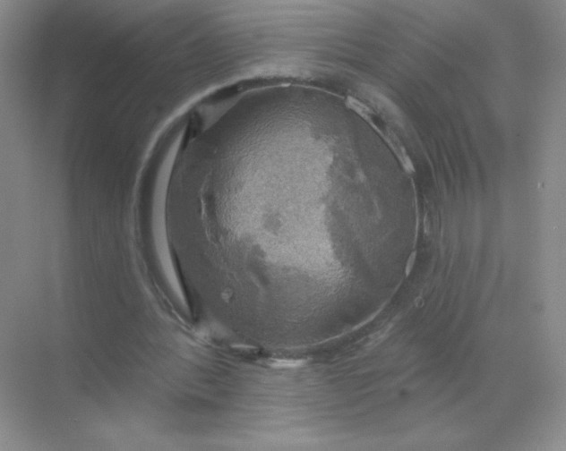 X0000068890388200605192140