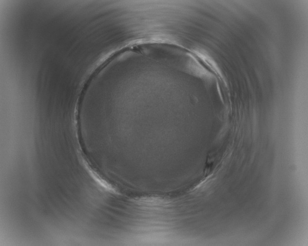 X0000068890389200605192140