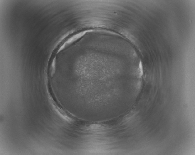 X0000068890390200605192140