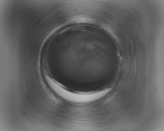 X0000068890391200605192140