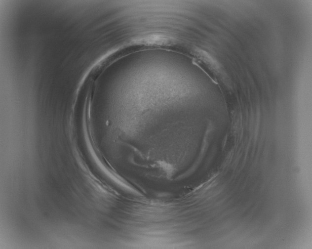 X0000068890392200605192140