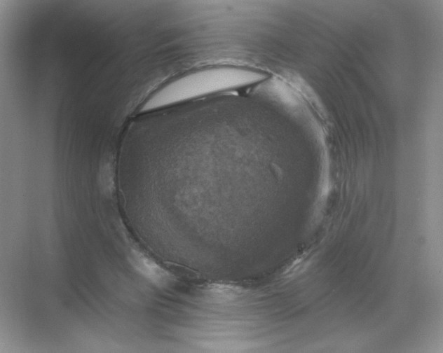 X0000068890393200605192140