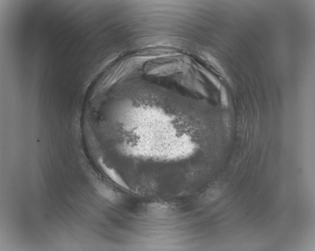 X0000068890394200605192140