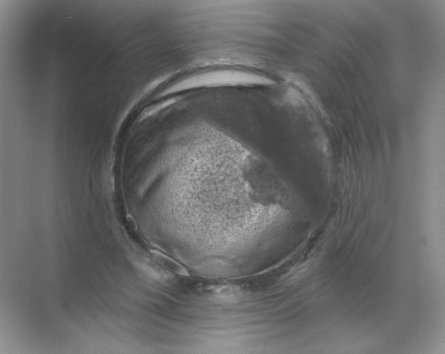 X0000068890395200605192140