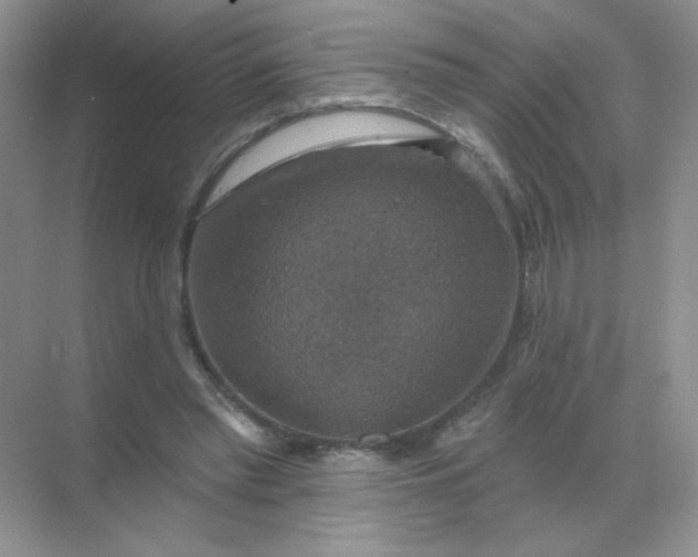 X0000068890397200605192140