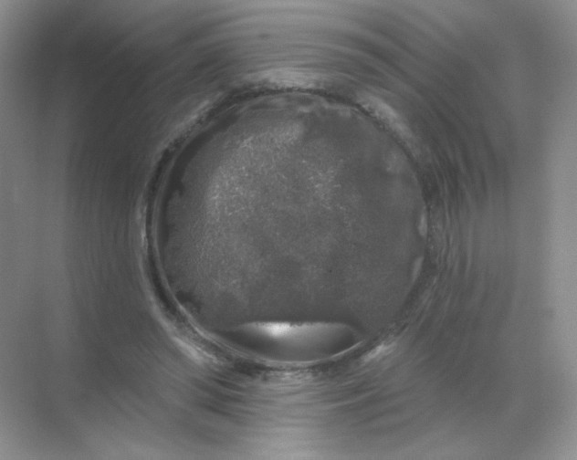 X0000068890398200605192140