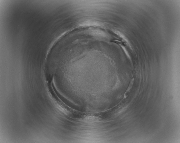 X0000068890399200605192140