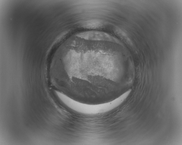 X0000068890400200605192140