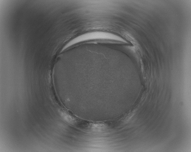 X0000068890401200605192140