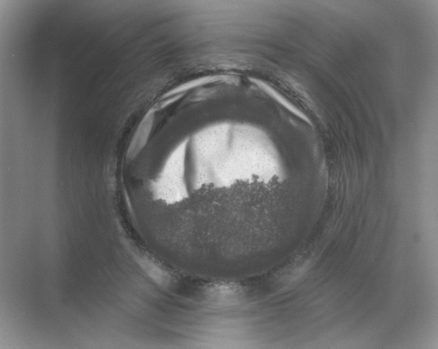 X0000068890402200605192140