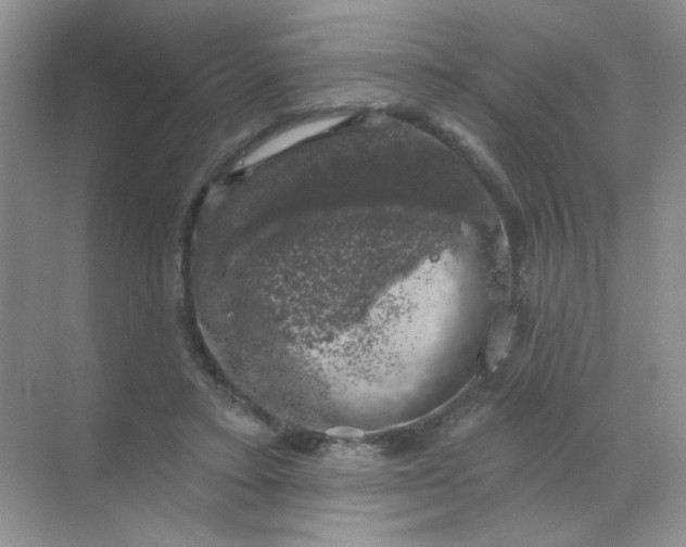 X0000068890403200605192140