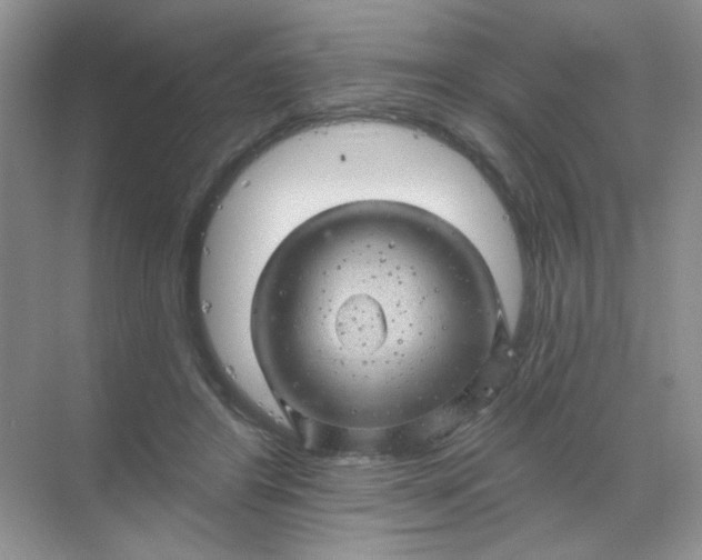 X0000068890404200605192140