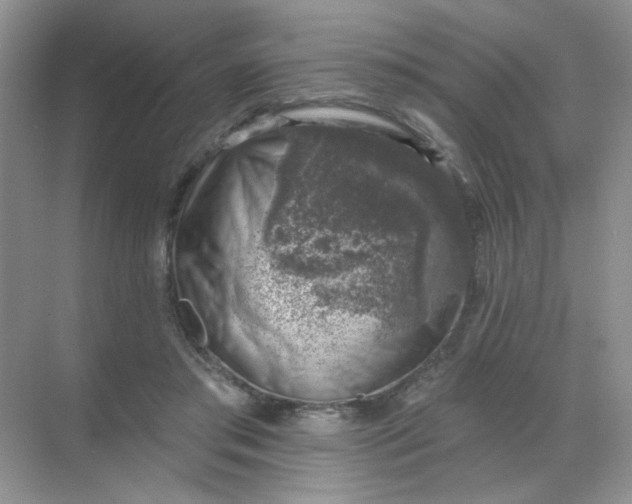 X0000068890405200605192140